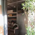 中村食糧の写真_405024