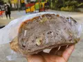 中村食糧の写真_405025