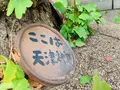 天津神社の写真_407810