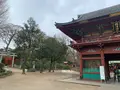 根津神社の写真_409549