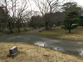 福岡城 本丸御殿跡の写真_410101