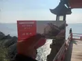 阿伏兎観音の写真_410993