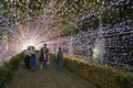 東南植物楽園の写真_411299