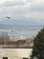 大津ＳＡの写真_412690