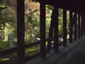 東福寺の写真_417219