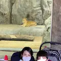 よこはま動物園ズーラシアの写真_417729