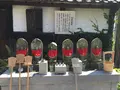 清見興国禅寺 (清見寺)の写真_418225