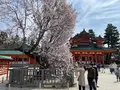 平安神宮の写真_420001