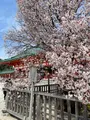 平安神宮の写真_420003