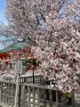 平安神宮の写真_420004