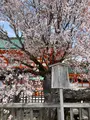 平安神宮の写真_420005