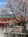平安神宮の写真_420006