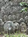 地福寺の写真_421529