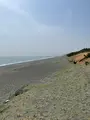 大磯こゆるぎの浜の写真_421647