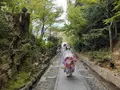 高台寺の写真_423608
