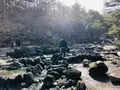 西の河原公園の写真_423714