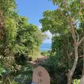 龍神風道 リュウジンフウドウの写真_424405