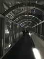 京都駅の写真_425850