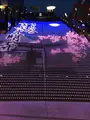 京都駅の写真_425855