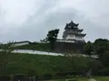 掛川城の写真_426192