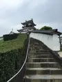 掛川城の写真_426193