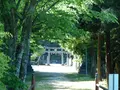 神谷太刀宮（神谷神社）の写真_428351