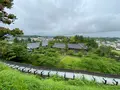掛川城の写真_430619