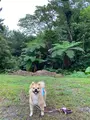 県民の森の写真_432111