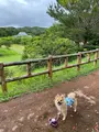 県民の森の写真_432112