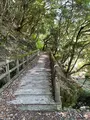 須雲川自然探勝歩道の写真_432373