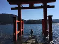 箱根神社の写真_432560