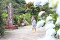 よへなあじさい園の写真_433183