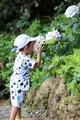 よへなあじさい園の写真_433184