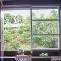 よへなあじさい園の写真_433187
