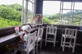 よへなあじさい園の写真_433188