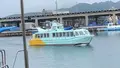 青海島観光汽船の写真_436331