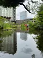 ホテルニューオータニ 日本庭園の写真_438421