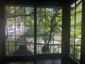 はつ花 本店の写真_440779