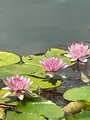 久昌寺納経所の写真_442497