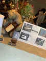 Beasty Coffee [ cafe laboratory ]の写真_445117