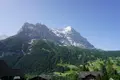 Grindelwaldの写真_454532