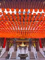 三鳳宮の写真_455202