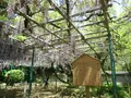 住吉神社の写真_456861
