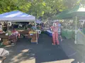 KCC Farmers Marketの写真_457452