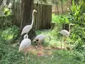 新竹市立動物園の写真_457777