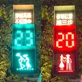 丟丟当森林の写真_459617