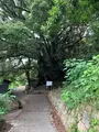 生樹の御門の写真_460521