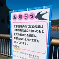 諏訪湖の写真_467111