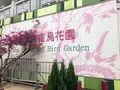 Yuen Po Street Bird Gardenの写真_470573