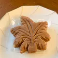 元祖もみぢ饅頭 高津堂の写真_471188